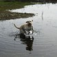 Corriendo en el agua